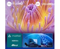 PHILIPS 75" 75PUS7000 4K Ultra HD, Pixel Precise Ultra HD, HDR10+ - 1335617 - zdjęcie 5